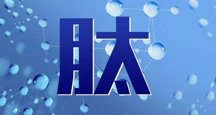 保護(hù)人類(lèi)健康的新秘訣——小分子肽！